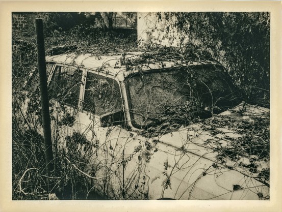 This is a black-and-white photograph created using the lith print technique in a darkroom. The image shows an abandoned car, heavily overgrown with vines and vegetation. The car appears to have been left in this location for a long time, as nature has taken over, covering the windows, roof, and body with plant growth. The grainy texture and high contrast, typical of lith printing, give the image an aged, dramatic, and almost surreal atmosphere.