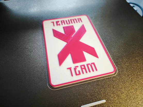 A white sign on a pei print sheet.

The logo is the red cross from the videogame Cyberpunk2077 - it's red and the text on it reads "Trauma Team"
