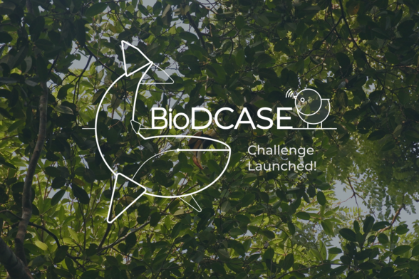 Logo: BioDCASE. Challenge launched! We like birds, whales, forests, and data