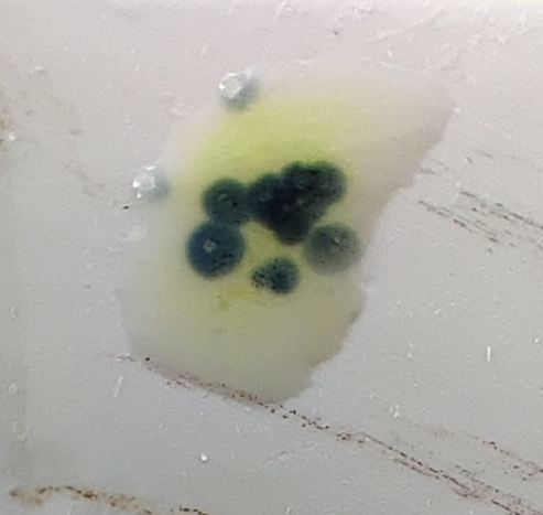An abstract looking view of a matt-white surface with some bark srapes of colour across it. In the centre, is a drop of liquid, with a bright yellow cloudy tiny, and several deep blue circular zones each centred on a tiny grainl