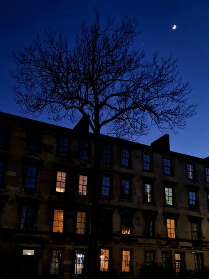 A single tall tree rises above a Glasgow tenement and is silhouetted against the night's sky. In the background is the new moon and a bright speck, which is the planet Jupiter.