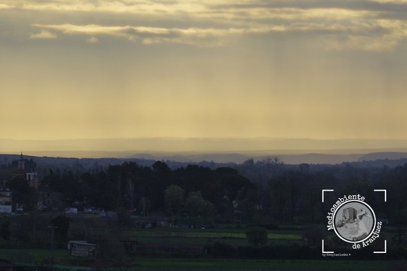 amanecer en el cortijo de San Isidro de Aranjuez, paisaje verde con neblinas al fondo en La Vega