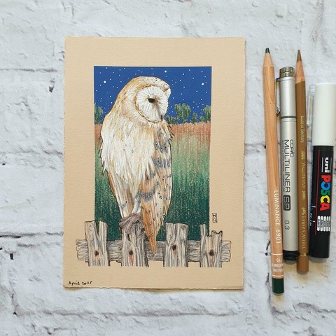 A small drawing of a barn owl sitting on a fence, with a little night time farmland scene in the background. The drawing is on beige toned pastel paper. It measures 5 by 7 inches.
Barn owls have some extraordinary adaptations to help them hunt at night, such as incredibly sensitive hearing and the ability to spot movement in very low light.
An original art work
Colour pencil and mixed media on acid free toned artist paper
5 by 7 inches (12.7 by 17.8 cm).
Sold unframed