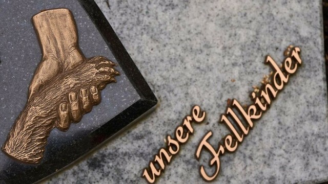 Niedersachsen & Bremen: Letzte Ruhe mit dem Haustier - Neue Bremer Bestattungsregeln