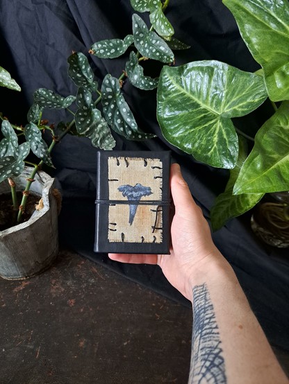 A hand holding the black horn of plenty mushroom journal for size comparison.