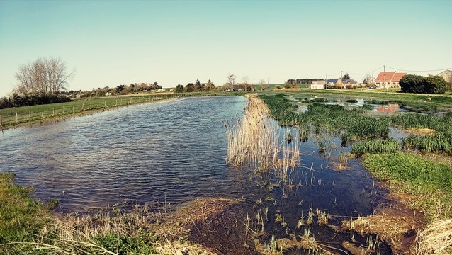 Champs inondés au niveau de la source de l'Aigre