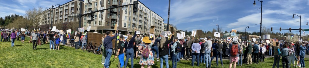 panorama of crowd head end about two blocks long