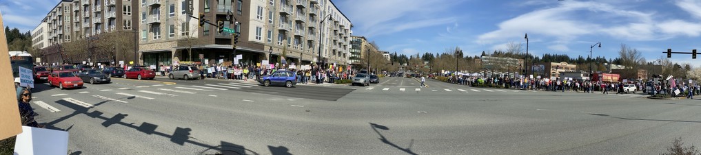 panorama of crowd across highway about four blocks long wrapping up an intersecting street