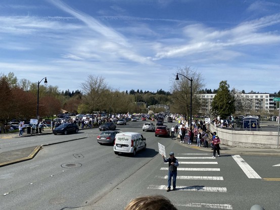 hundreds if not thousands of protesters in bothell (not all are visible from here)