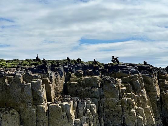 The image shows a rocky cliff under a partly cloudy sky. Several birds are perched along the edge of the cliff, silhouetted against the sky. The rock surface appears rugged and uneven, with patches of green vegetation at the top. The clouds are scattered, allowing some sunlight to illuminate the scene.