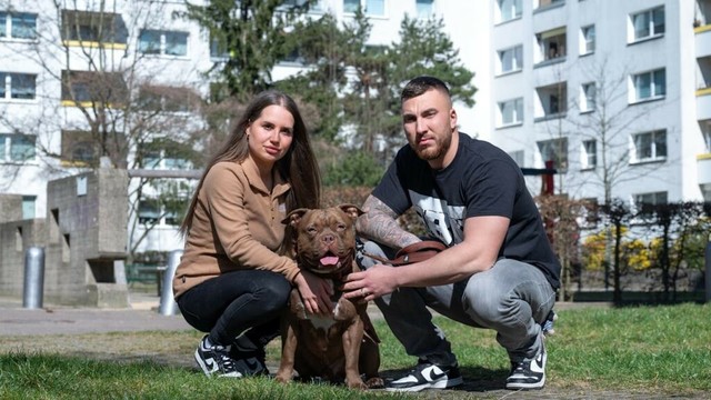 Vermieter Gesobau will Bulldogge Smiley aus Berliner Wohnung klagen | Regional