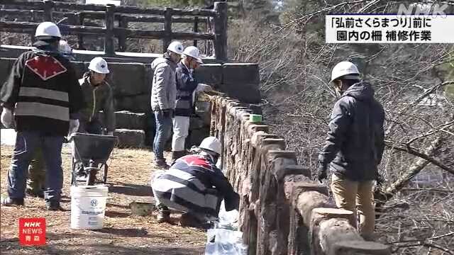 青森 「弘前さくらまつり」を前に 公園内の柵の補修作業｜NHK 青森県のニュース