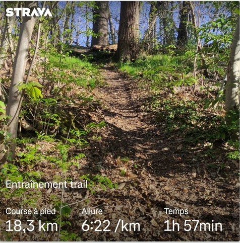 Un sentier étroit de trail forestier monte entre des arbres aux troncs épais, sous une lumière matinale éclatante. Le sol est tapissé de feuilles mortes et de racines, tandis que des jeunes pousses vertes illuminent les bords du chemin. L’image évoque l’effort, la nature et la progression. En surimpression, les données de course indiquent : “Entraînement trail – 18,3 km – 6:22/km – 1h57min”