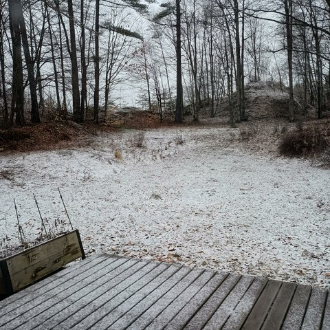 A dusting of new snow covers the backyard and flower garden. It is still snowing with up to two inches in the forecast.