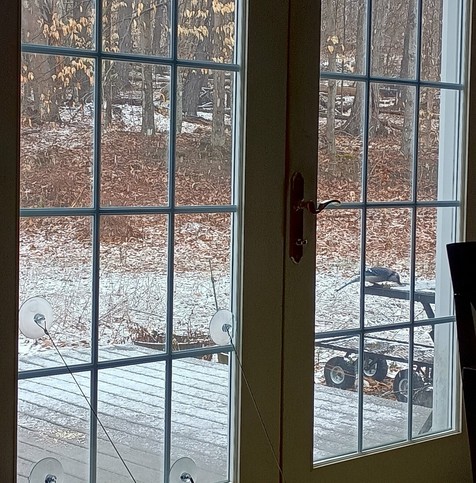 A blue jay eats sunflower seeds on a table on my deck. The vivid blue feathers stand out against the white of a dusting of new snow.