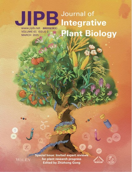 Decorative image of the cover of JIPB Issue 3 for March 2025, showing a watercolor and ink style image of a tree with various plant research organisms in its leaves and branches, including corn, tomatoes, etc.