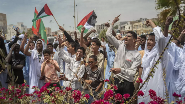 Des manifestants brandissent des drapeaux palestiniens dans la capitale mauritanienne Nouakchott, le 7 avril 2025