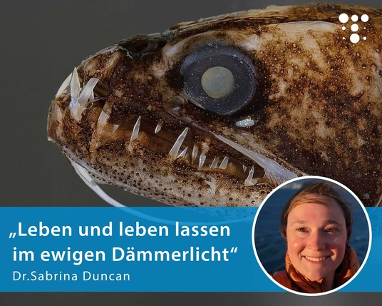Ankündigung einer Veranstaltung im Klimahaus Bremerhaven am 16. April 2025. Im Hintergrund ein Foto eines Fisches aus der Tiefsee.
Darüber steht in Textfeldern:
"Am 16. April: Klimahaus Forschungsreise. „Leben und leben lassen im ewigen Dämmerlicht“
Dr. Sabrina Duncan". Daneben ist ein rundes Porträtfoto der Forscherin.