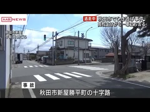 秋田市で横断歩道を自転車で渡っていた高校生が車と接触し軽いけが　車はその場から走り去る (2025/04/09 13:51)