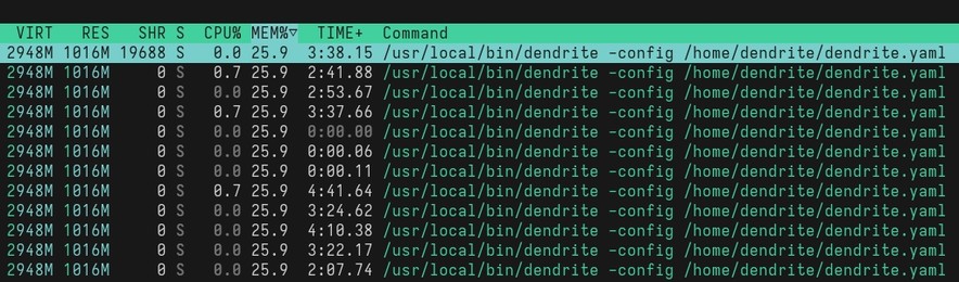 Screenshot from htop, processes are sorted by memory usage percentage, there are 12 lines at the top of the list, each with "/usr/local/bin/dendrite …" in the command column and "1016M" in the resident memory column