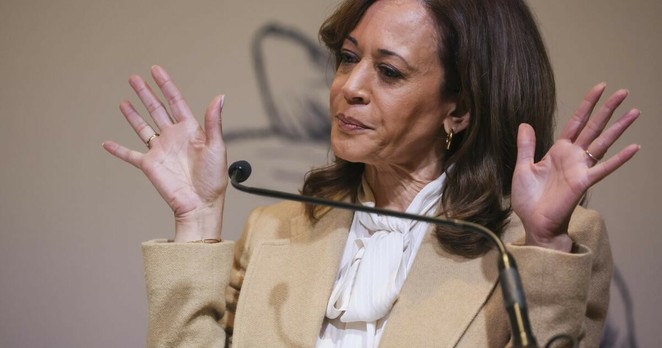Democrats running for governor take digs at Harris' delayed decision on the race