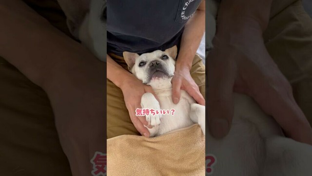 施術が終わってもなかなか帰らないお客様w #shorts