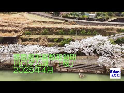 ドローン空撮・徳島県那賀郡那賀町「川口ダム湖」