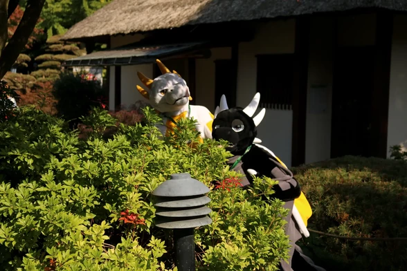A white/yellow and grey/black dragon fursuiter trying to hide behind a bush.