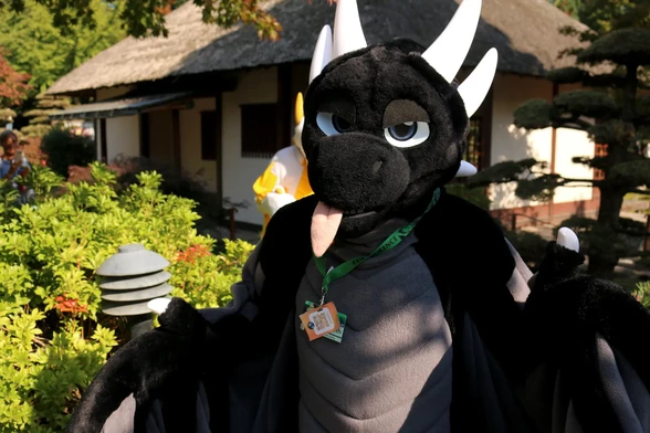 The black dragon is closing in onto me ready to hug attack!
