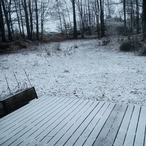 A dusting of new snow covers the backyard and flower garden.