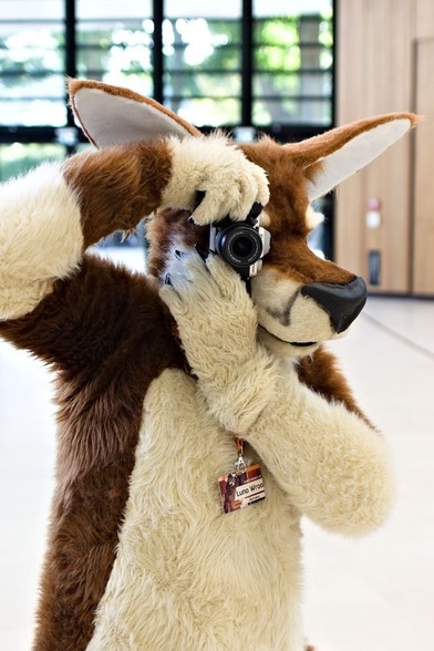 A kangoroo fursuiter holding up an Fuji camera to the eyes. The fursuiter stands in the entrance hall of the CCH with windows in the back.