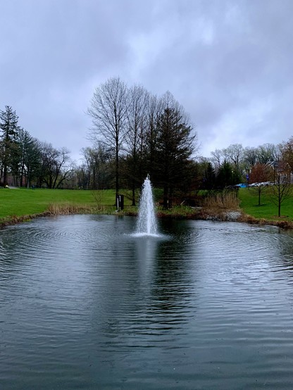 A small pond in the grassy area. There is a fountain in the middle of the pond. Several trees stand in the the background on a cloudy late afternoon.
