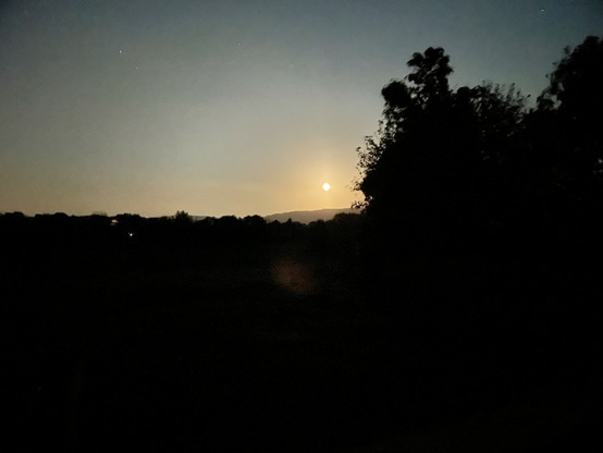 sun
