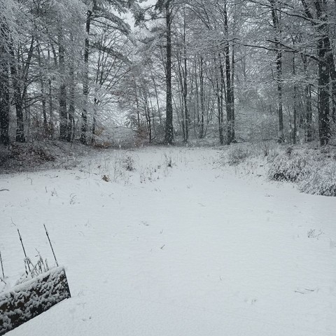 Looking out at my flower garden, I see four inches of new snow and it is still snowing.
