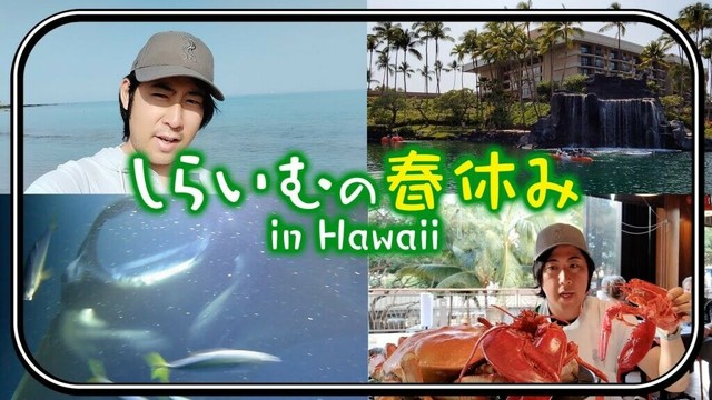 しらいむの春休みinハワイ!!