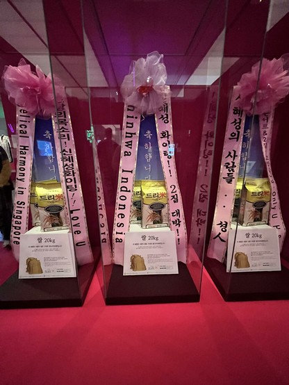 Fan-Reis, ein Phänomen des K-Pop. Das karitative verbindet sich hier mit dem politischen und mit dem bonbonsüßen K-Pop-Fandom. Man staunt! (Heißt Fan auch Reis auf Koreanisch?)