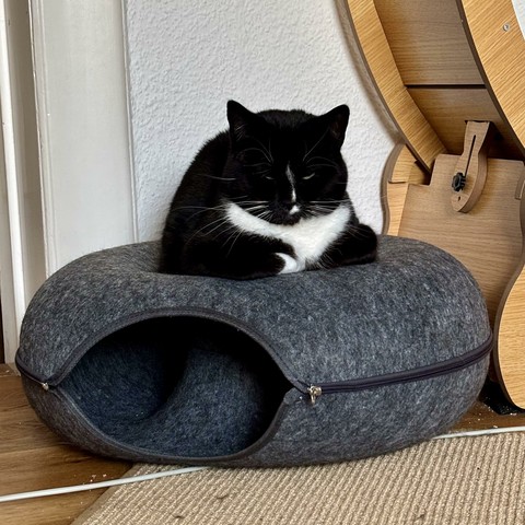 A black and white cat is sitting on a cozy, gray felt cat tunnel with a curved shape and an opening. She looks relaxed and sleepy.