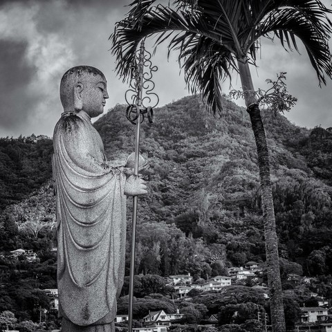 Statue of bodhisattva beside palm tree with lush green hillside in the background, all done in black and white.