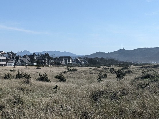 Oceanside in Seaside, OR
