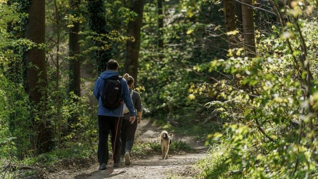 Wanderwege im Taunus, Odenwald und Co.