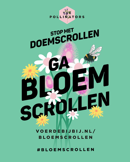 Promotional image for the non-profit The Pollinators. Computer drawn image of yellow, white and pink flowers and a bumble bee on a green background, with over it in black print (English translation below): stop met doemscrollen, ga bloemscrollen - voerdebijbij.nl/bloemscrollen - #bloemscrollen. Translation: stop doom scrolling, start bloom scrolling (actually flower scrolling, as bloem is the Dutch word for flower, but then you miss the pun) followed by their website and hashtag
