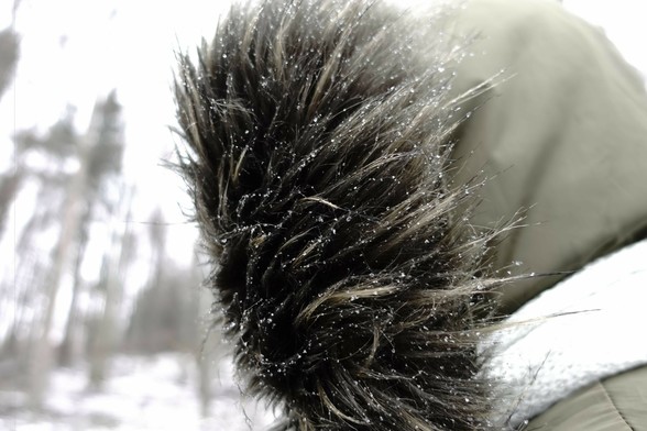 The image shows a close-up of a coat's hood with a fur trim. There are small snowflakes or ice particles visible on the fur. The background appears to be a wintry outdoor setting with blurred trees and snow.