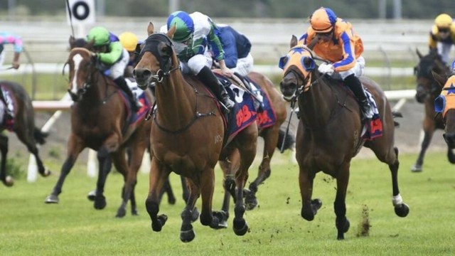 Horse racing: Nereus starts Kiwi Queensland invasion early