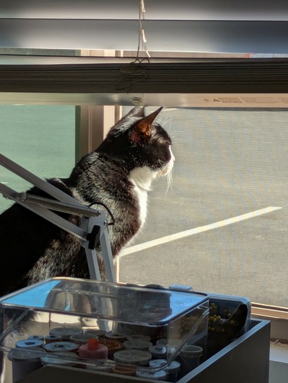 Betty gazes out the window onto an ugly lifeless parking lot, dreaming of outside time in the courtyard.