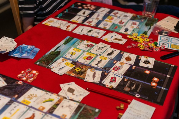 A just-played game of Finspan: individual boards depicting the ocean with various slots for cards at various 'depths'. Each card has detailed information for both game and general knowledge on each fish species (none are repeated).

It's all sitting on a red felt "tablecloth" I use for board games