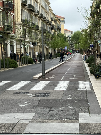 Foto zeigt Straße mit breitem Radweg, breitem Gehweg und  Bäumen