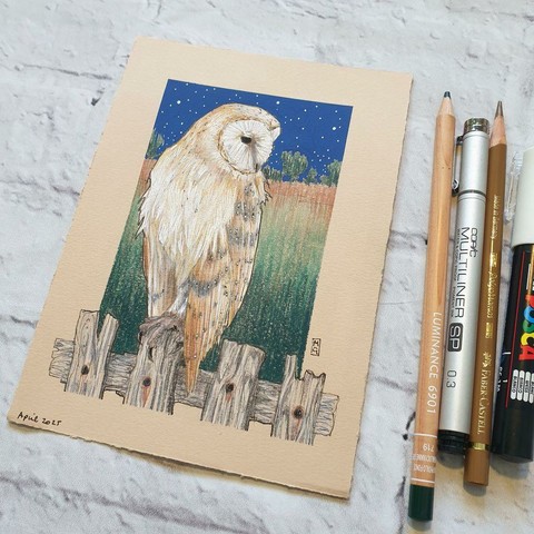 A small drawing of a barn owl sitting on a fence, with a little night time farmland scene in the background.  The drawing is on beige toned pastel paper.  It measures 5 by 7 inches. 
Barn owls have some extraordinary adaptations to help them hunt at night, such as incredibly sensitive hearing and the ability to spot movement in very low light.
An original art work
Colour pencil and mixed media on acid free toned artist paper
5 by 7 inches (12.7 by 17.8 cm).
Sold unframed