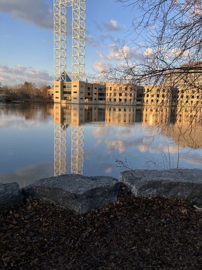 a golden beige building in background, with a white metal bridge to the left. Blue skies and fluffy clouds reflect on the calm river.  two male and 1 female megnaser are floating on the river.  The riverbank in the froeground is dark grey stone covered.