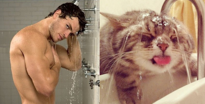 Two photos side by side: man in the shower and a cat with water running out of a tap on its head, has tongue stuck out.