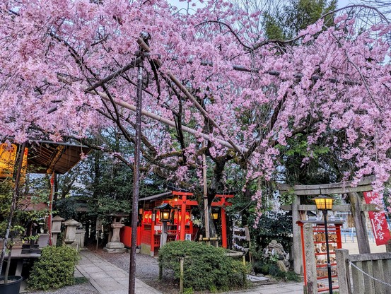 Suika Tenmangu.